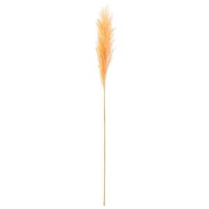 BRANCH PLUME PAMPAS LIGHT ORANGE