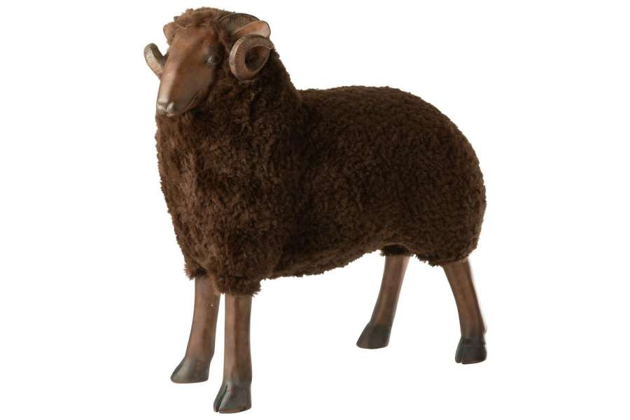 SHEEP HORNS LIMEPOWDER BROWN