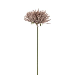 CHRYSANTH PLASTIC GREY-PINK
