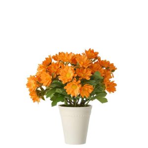 DAISY PVC ORANGE