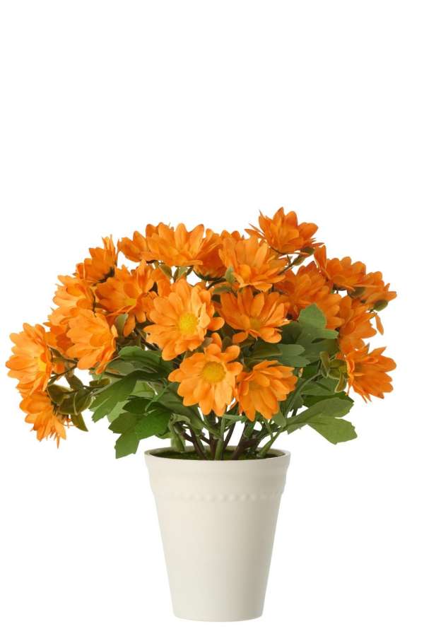 DAISY PVC ORANGE