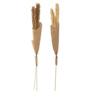 BRANCH FEATHER PAMPAS NATURAL ASSORTMENT OF 2