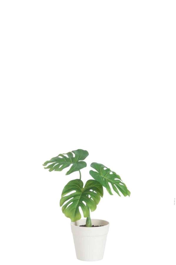 LEAF PHILO IN POT PLASTIC GREEN/WHITE SMALL