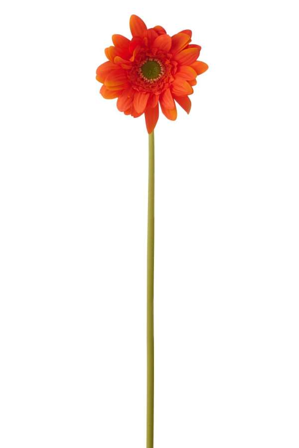 GERBERA REAL TOUCH FABRIC ORANGE