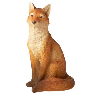 FOX SITTING LIMEPOWDER ORANGE
