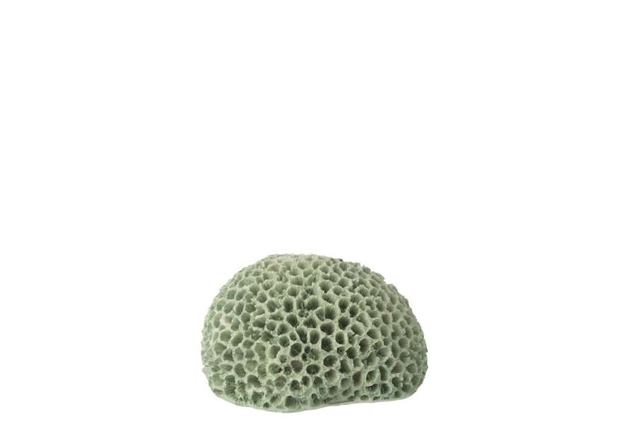 CORAL POLYRESIN MINT GREEN SMALL