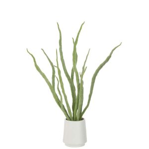 SUCCULENT PLANT IN POT ARTIFICIAL GREEN