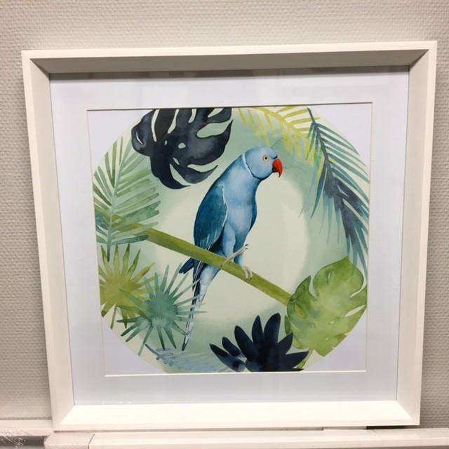 Bilde m/ramme/glass og passpartout-. Pappegøye  -46x46Cm