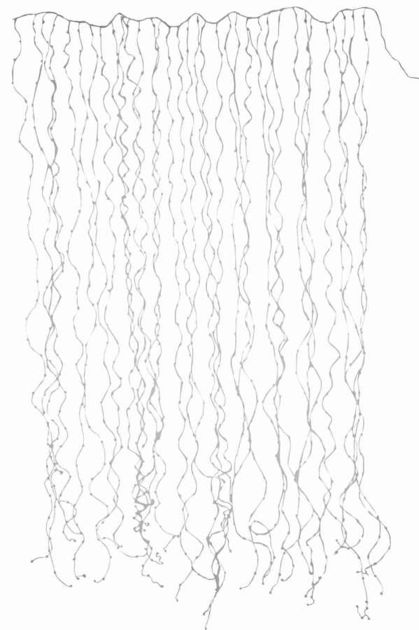 CHRISTMAS LIGHTS CURTAIN 2X3M SILVER 1020LED WARM WHITE