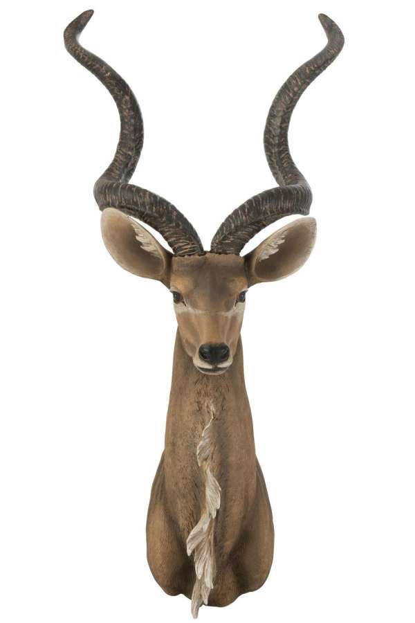 ANTELOPE HEAD POLY BROWN