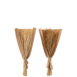 BUNCH DRIED TISHI+WHEAT GRASS NATURAL ASSORTMENT OF 2