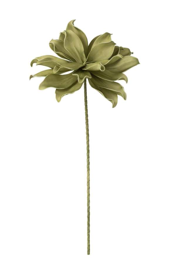 FLOWER BRANCH 1 HEAD EVA GREEN