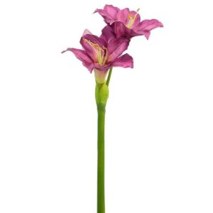 AMARYLLIS PURPLE 86CM