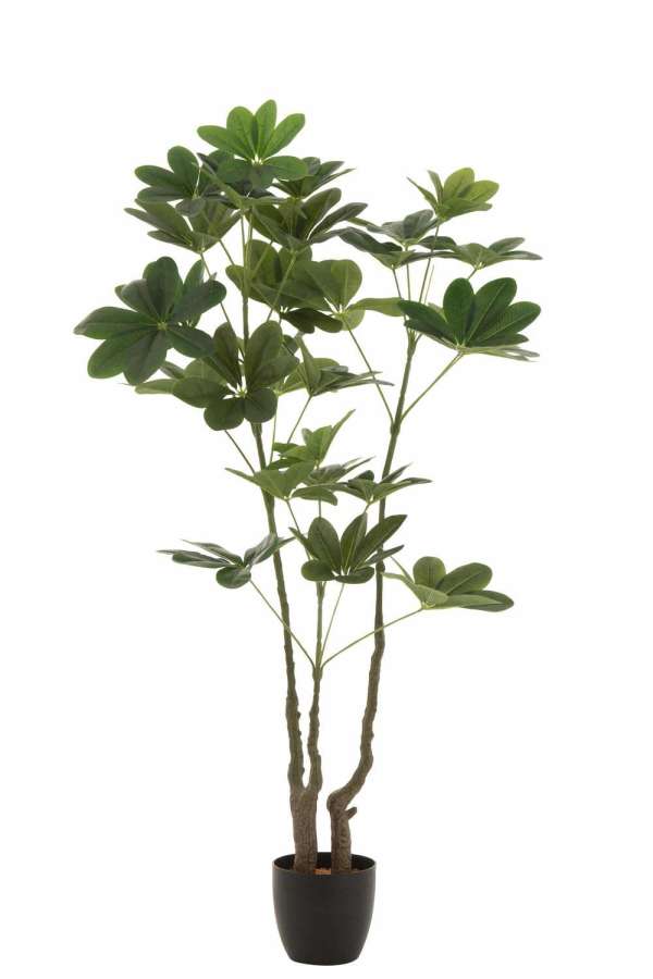 MONEY TREE POT PLASTIC GREEN L
