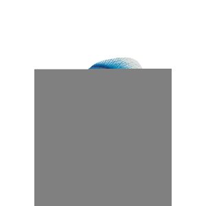 FISH ON BASE IRON BLUE/WHITE