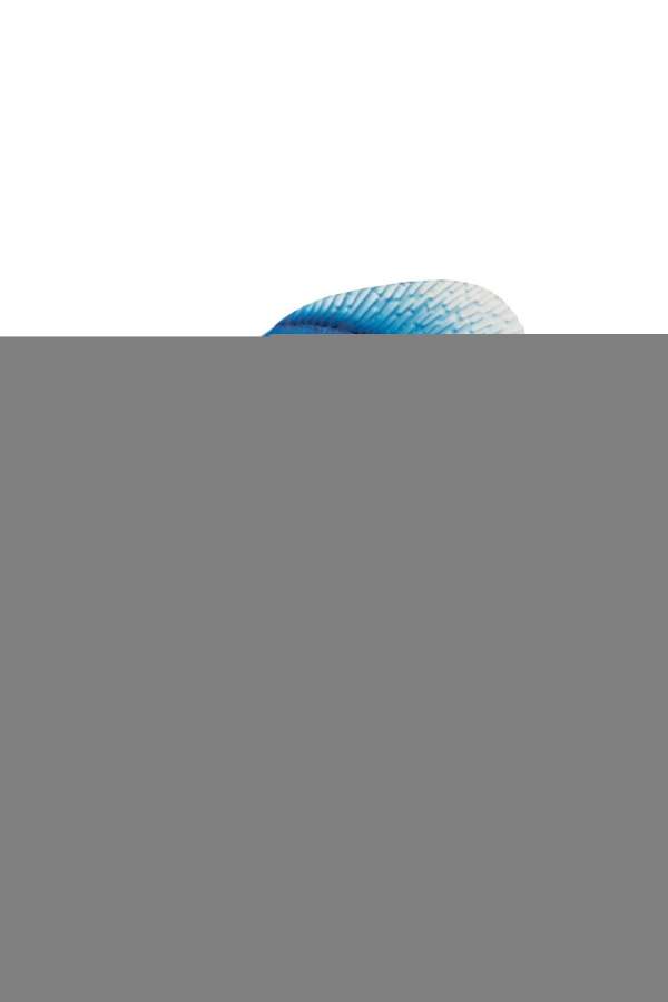 FISH ON BASE IRON BLUE/WHITE