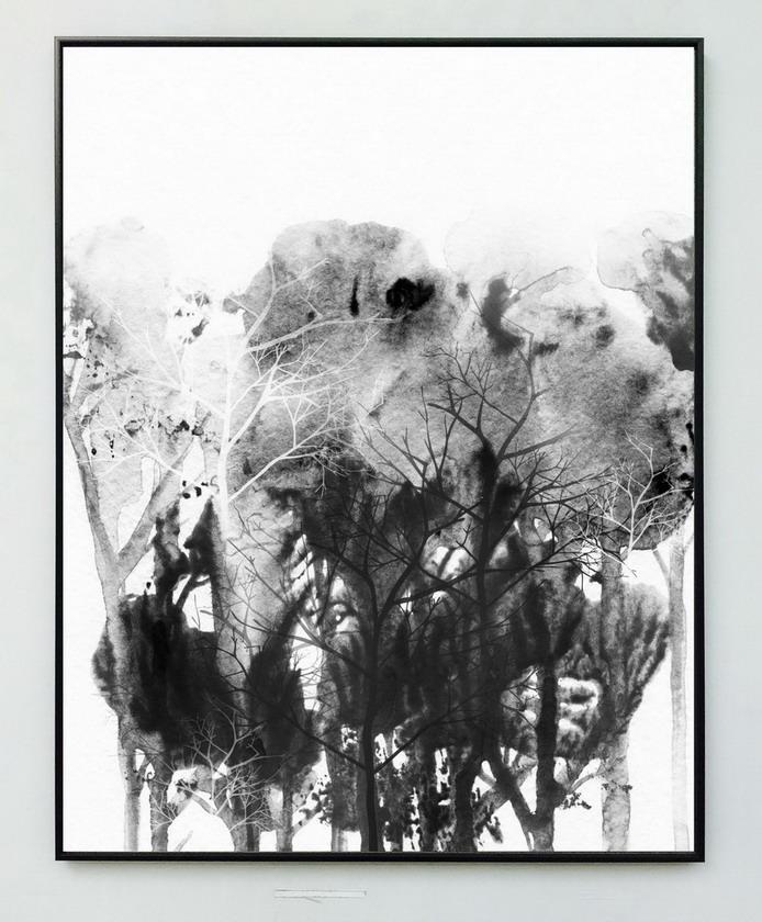 Bilde Canvas M/Ram. Trær Abst. 56X71Cm