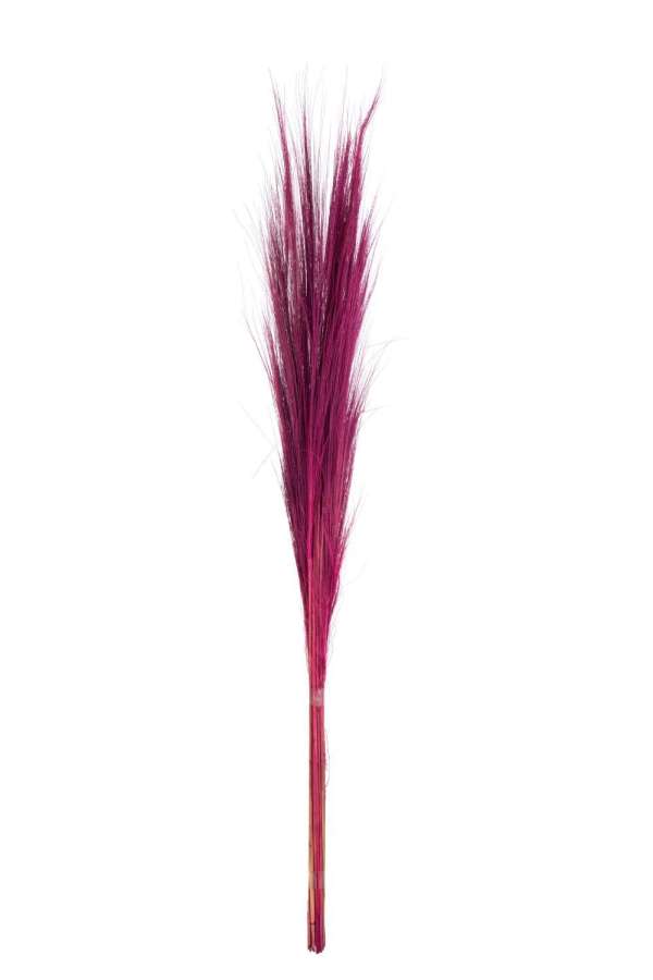 BUNDLE OF 15 COLORED GRASS FUSCHIA