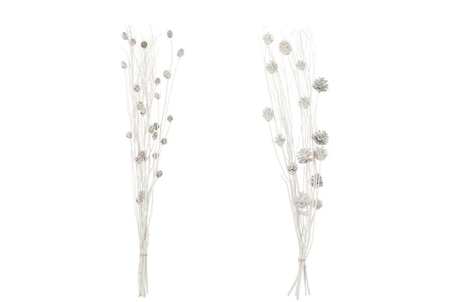 BRANCH PINE CONE DRY FLOWER WHITE ASSORTMENT OF 2