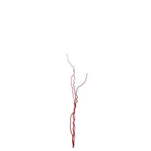 BUNDLE OF 3 BRANCH DRY FLOWER RED MEDIUM