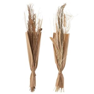 WILD LEAVES NATURAL ASSORTMENT OF 2