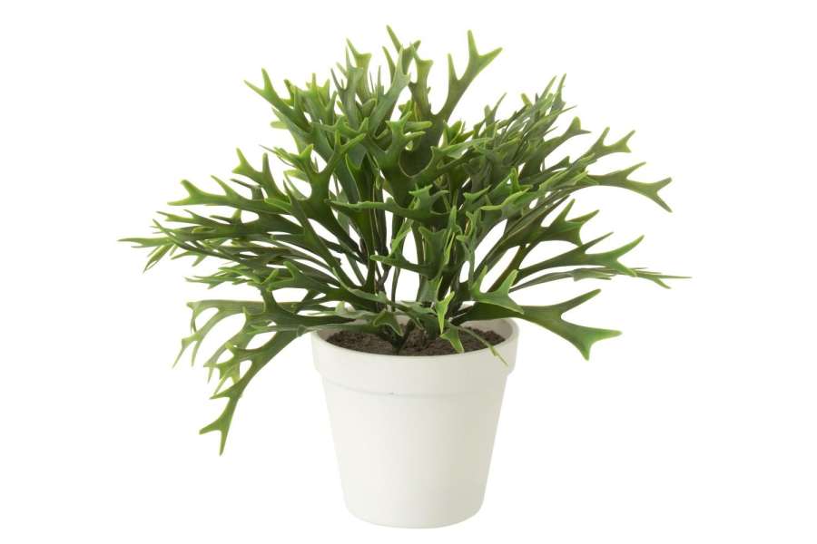PLATYCERIUM BIFURCATUM IN POT ARTIFICIAL GREEN