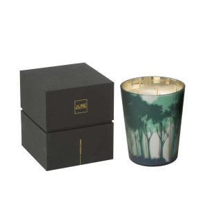 SCENTED CANDLE NOA FOREST SOYA GREEN/GOLD COLORED MEDIUM-68H