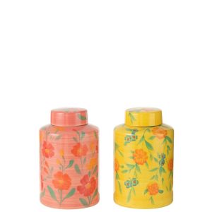 JAR ALEGRIA CLAY MIX ASSORTMENT OF 2