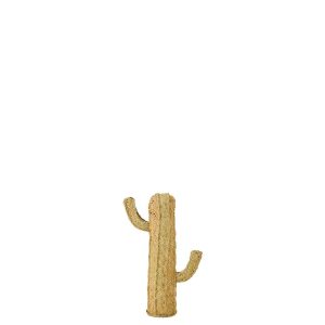 CACTUS GRASS NATURAL SMALL