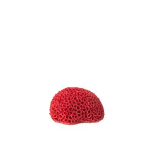CORAL POLYRESIN RED SMALL