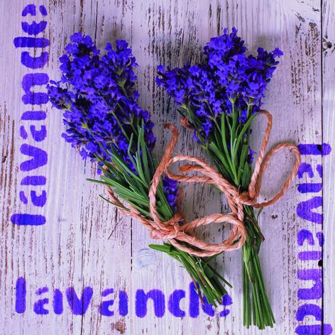 Serviett lunch 33x33cm