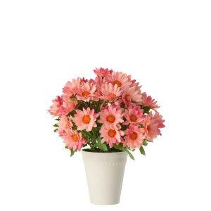DAISY PVC LIGHT PINK