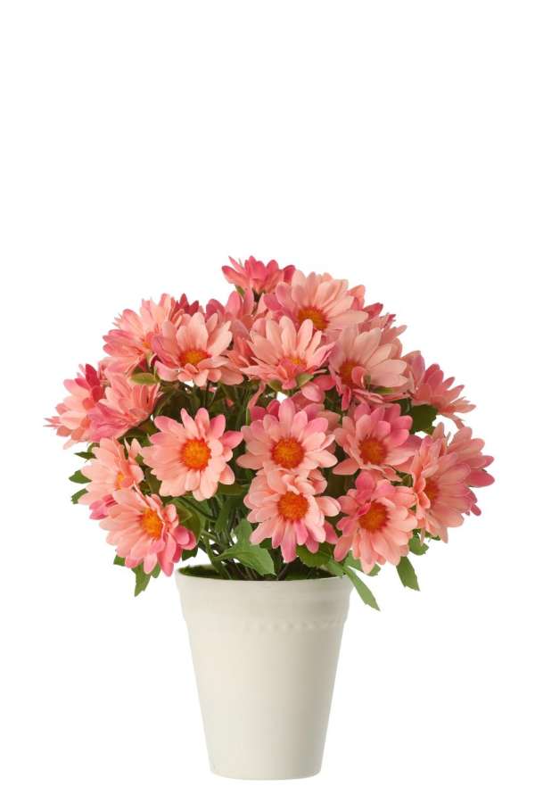 DAISY PVC LIGHT PINK