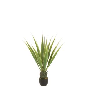 AGAVE OFF-WHITE EDGE POT ARTIFICIAL GREEN