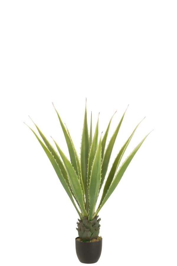 AGAVE OFF-WHITE EDGE POT ARTIFICIAL GREEN