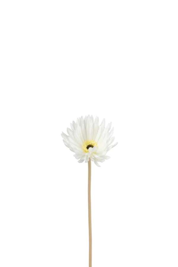 GERBERA VIRGIN PLASTIC WHITE