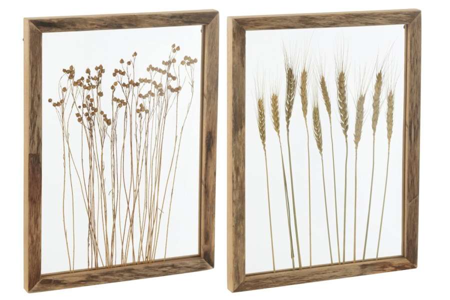 WALL DECORATION CEREAL PINEWOOD/GLASS TRANSPARENT/BROWN ASSORTMENT OF 2