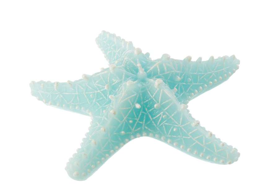 CANDLE STAR FISH WAX AZURE LARGE-3HOURS