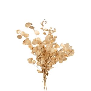 EUCALYPTUS DRY FLOWER GOLD COLORED