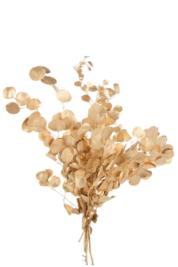 EUCALYPTUS DRY FLOWER GOLD COLORED