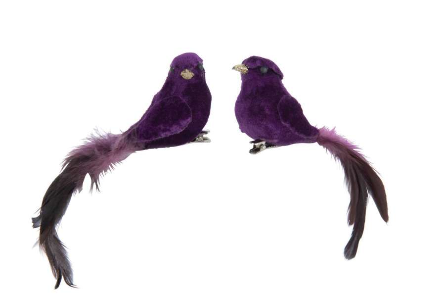 BIRD+CLIP POLYFOAM/FEATHERS PURPLE ASSORTMENT OF 2