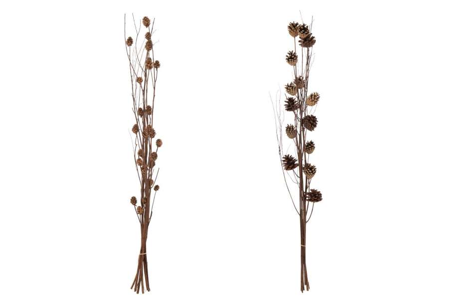 BRANCH PINE CONE DRY FLOWER DARK BROWN ASSORTMENT OF 2