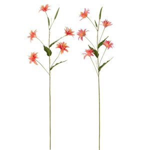 LILY TEXTILE DARK ORANGE ASSORTMENT OF 2
