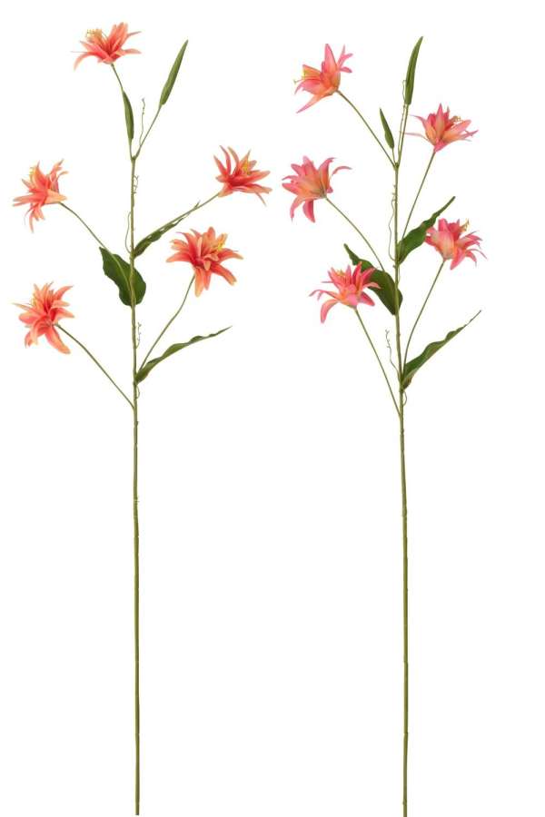 LILY TEXTILE DARK ORANGE ASSORTMENT OF 2