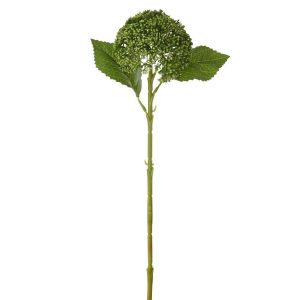 HYDRANGEA PVC GREEN