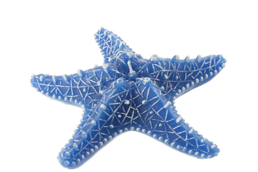 CANDLE STAR FISH WAX BLUE LARGE-3HOURS