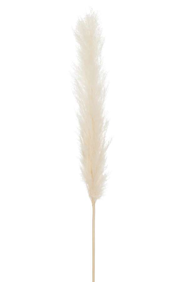 BRANCH FEATHER PAMPAS GRASS WHITE LARGE
