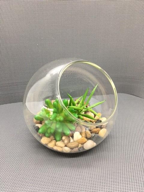 Plante i glassbolle 14x14x12 cm