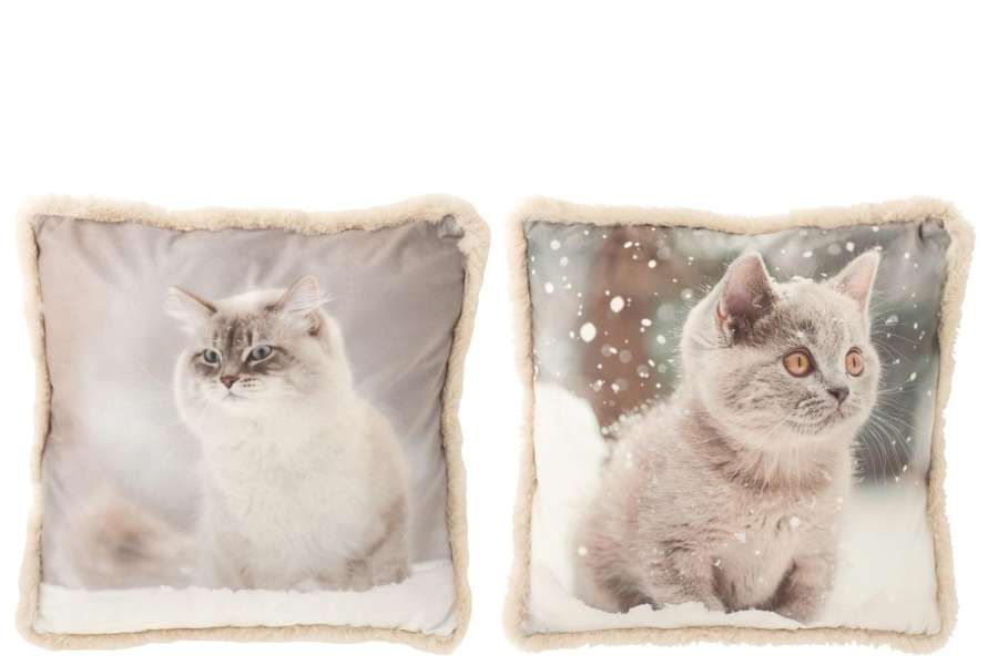 CUSHION CAT POLYESTER GREIGE/OFF-WHITE LARGE ASSORTMENT OF 2