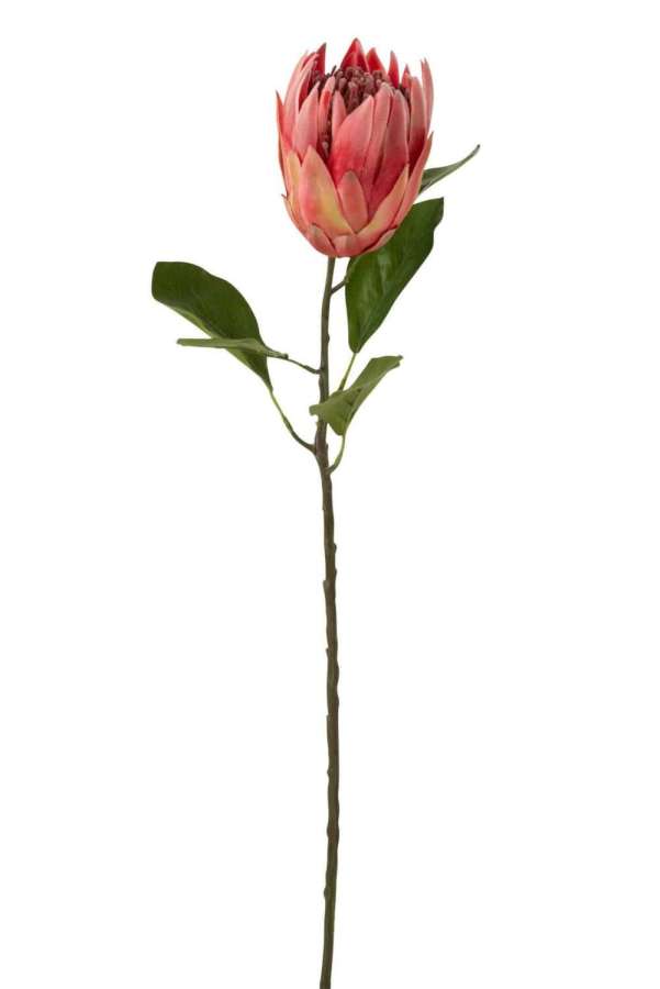 PROTEA BRANCH PLASTIC RED